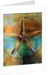 Starfish by Anonymous