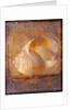 Seashell and Handwriting by Anonymous