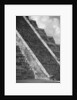 Pyramid of Kukulcan by Anonymous