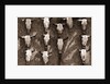Cow Skulls Hanging on a Wall by Anonymous