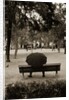 Person Under Umbrella at Madrid Park by Anonymous