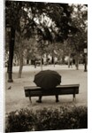 Person Under Umbrella at Madrid Park by Anonymous