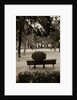 Person Under Umbrella at Madrid Park by Anonymous