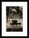 Person Under Umbrella at Madrid Park by Anonymous