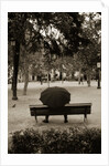 Person Under Umbrella at Madrid Park by Anonymous