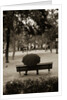 Person Under Umbrella at Madrid Park by Anonymous