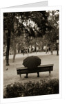 Person Under Umbrella at Madrid Park by Anonymous