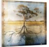 Graph of Tree and Roots by Anonymous