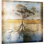 Graph of Tree and Roots by Anonymous