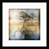 Graph of Tree and Roots by Anonymous