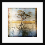 Graph of Tree and Roots by Anonymous