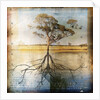 Graph of Tree and Roots by Anonymous