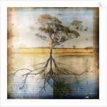Graph of Tree and Roots by Anonymous