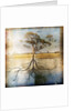 Graph of Tree and Roots by Anonymous