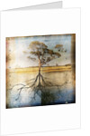 Graph of Tree and Roots by Anonymous