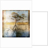 Graph of Tree and Roots by Anonymous