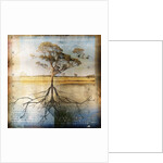 Graph of Tree and Roots by Anonymous
