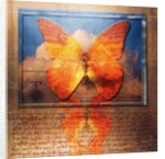 Overlaying Butterflies and Text by Anonymous