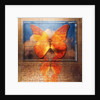 Overlaying Butterflies and Text by Anonymous