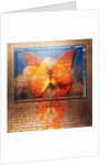 Overlaying Butterflies and Text by Anonymous
