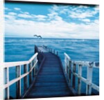 Pier and Dolphins by Anonymous