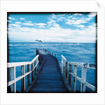 Pier and Dolphins by Anonymous