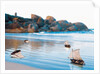 Toy Boats on Rocky Beach by Anonymous