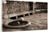 Cat Drinking From a Fountain by Anonymous