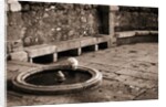 Cat Drinking From a Fountain by Anonymous