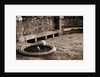 Cat Drinking From a Fountain by Anonymous