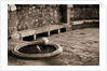 Cat Drinking From a Fountain by Anonymous