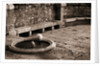 Cat Drinking From a Fountain by Anonymous