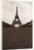 Eiffel Tower by Anonymous