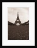 Eiffel Tower by Anonymous