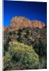 Canyons of Zion National Park by Anonymous