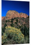 Canyons of Zion National Park by Anonymous