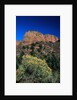 Canyons of Zion National Park by Anonymous