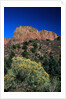 Canyons of Zion National Park by Anonymous
