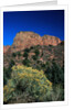Canyons of Zion National Park by Anonymous