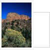 Canyons of Zion National Park by Anonymous