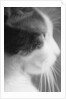 Cat's Head by Anonymous