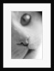 Cat's Mouth by Anonymous