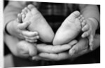 Parent and Baby's Hands and Feet by Anonymous