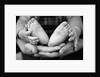 Parent and Baby's Hands and Feet by Anonymous