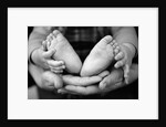 Parent and Baby's Hands and Feet by Anonymous