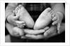 Parent and Baby's Hands and Feet by Anonymous