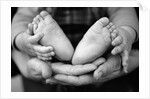 Parent and Baby's Hands and Feet by Anonymous