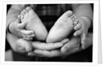 Parent and Baby's Hands and Feet by Anonymous