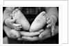 Parent and Baby's Hands and Feet by Anonymous