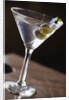Olives in Martini Glass by Anonymous